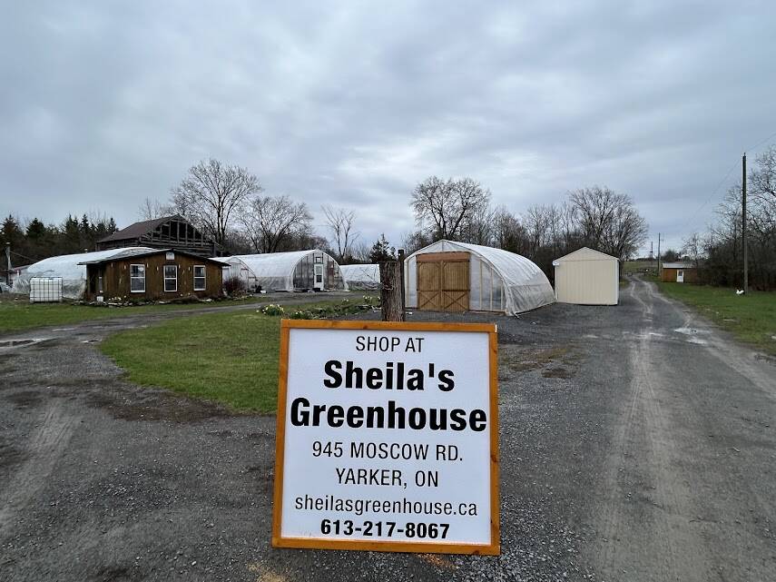 Home - Sheila's Greenhouse